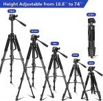 Aureday 74” Tripod with Remote & Phone Holder