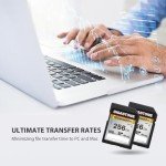 GIGASTONE 256GB 4K Memory Card - Ultra Fast