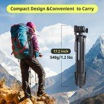 Sensyne 64" Tripod with Remote and Phone Holder