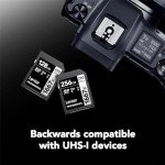 Lexar 128GB Professional 1667x SDXC Memory Card