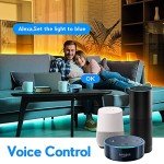 GIDERWEL 5-in-1 WiFi LED Strip Controller