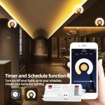 GIDERWEL 5-in-1 WiFi LED Strip Controller