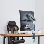 Dual 13"-27" Adjustable Monitor Arm Desk Mount