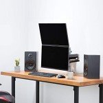 Dual 13"-27" Adjustable Monitor Arm Desk Mount