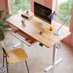 FEZIBO 55" Electric Height Adjustable Standing Desk
