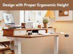 BANTI 48"x24" Electric Adjustable Standing Desk