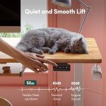 FEZIBO 55" Electric Height Adjustable Standing Desk