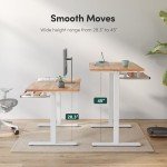 FEZIBO 55" Electric Height Adjustable Standing Desk