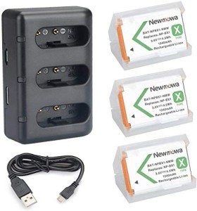 Newmowa NP-BX1 Battery 3-Pack with USB Charger