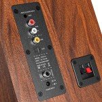 Saiyin 40W Bluetooth Bookshelf Speakers for TV