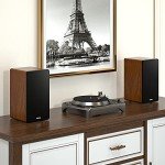 Saiyin 40W Bluetooth Bookshelf Speakers for TV