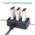 Newmowa NP-BX1 Battery 3-Pack with USB Charger