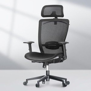 FLEXISPOT High Back Mesh Ergonomic Office Chair