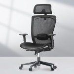FLEXISPOT High Back Mesh Ergonomic Office Chair