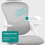 Ergonomic Grey Office Chair with Lumbar Support