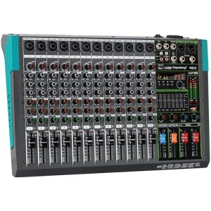 Depusheng MX12 12-Channel Professional Audio Mixer