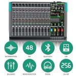 Depusheng MX12 12-Channel Professional Audio Mixer