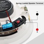 Herdio 6.5'' Bluetooth Flush Mount Speakers System
