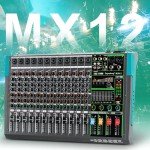 Depusheng MX12 12-Channel Professional Audio Mixer