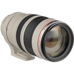 Canon EF 100-400mm Telephoto Zoom Lens