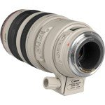 Canon EF 100-400mm Telephoto Zoom Lens