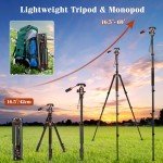 68" 2-in-1 Tripod & Monopod with Ball Head
