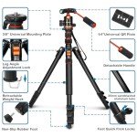 68" 2-in-1 Tripod & Monopod with Ball Head