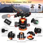 68" 2-in-1 Tripod & Monopod with Ball Head