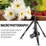 MACTREM 84" Heavy Duty Tripod for DSLR Cameras