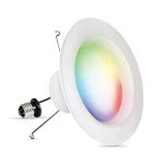 Smart LED Recessed Light - Works with Alexa & Google
