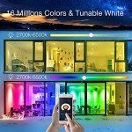 Phopollo WiFi Smart Multicolor LED Light Bulbs