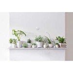 Nest Thermostat E – Wi-Fi Smart Home Control
