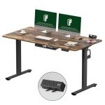 FLEXISPOT EN2 Adjustable Electric Standing Desk 55