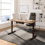 FLEXISPOT EN2 Adjustable Electric Standing Desk 55