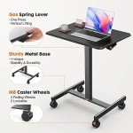 Portable Adjustable Sit-Stand Mobile Desk with Wheels