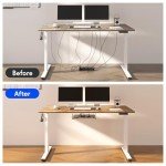 FLEXISPOT EN2 Adjustable Electric Standing Desk 55
