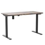 FLEXISPOT EN2 Adjustable Electric Standing Desk 55