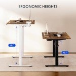 FLEXISPOT EN2 Adjustable Electric Standing Desk 55