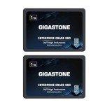 Gigastone 1TB NAS SSD Drives 2-Pack for RAID