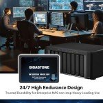 Gigastone 1TB NAS SSD Drives 2-Pack for RAID