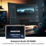 Gigastone 1TB NAS SSD Drives 2-Pack for RAID