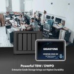 Gigastone 1TB NAS SSD Drives 2-Pack for RAID