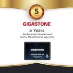 Gigastone 1TB NAS SSD Drives 2-Pack for RAID