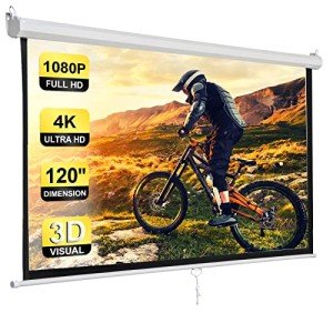 120" HD Manual Projector Screen - Matte White