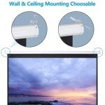 120" HD Manual Projector Screen - Matte White