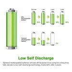 EBL 10 Pack Rechargeable AAA Batteries 1100mAh