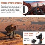 JOILCAN 81" Heavy Duty Camera Tripod Stand