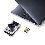 INLAND 32GB Class 10 SDHC Flash Memory Card (2-Pack)