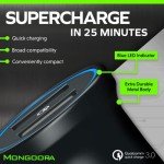 Portable Dual USB Car Charger with Fast Charging