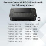 Canon PG-243 Black Ink Cartridge for Printers